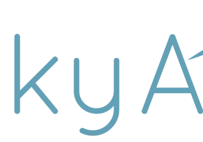 A blue and grey logo for skyart.